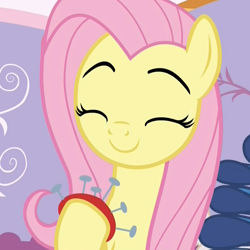 Size: 1076x1076 | Tagged: safe, screencap, fluttershy, pegasus, pony, dragon dropped, cropped, cute, eyebrows, eyes closed, fabric, female, mare, pincushion, shyabetes, smiling, solo
