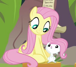 Size: 774x677 | Tagged: safe, screencap, angel bunny, fluttershy, pegasus, pony, rabbit, she talks to angel, angelbetes, animal, cropped, cute, duo, female, looking at each other, male, mare, shyabetes, sitting