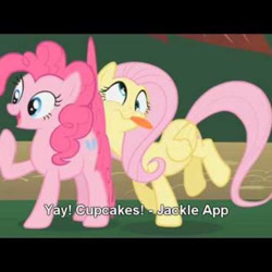 Size: 500x500 | Tagged: safe, fluttershy, pinkie pie, earth pony, pegasus, pony, derp, dizzy, female, flutterpie, lesbian, shipping, tail bump, thinking, tongue out