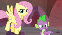 Size: 1280x720 | Tagged: safe, screencap, fluttershy, spike, dragon, pegasus, pony, sweet and smoky, duo, female, male, mare, winged spike, wings