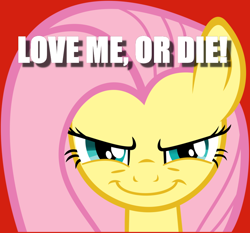 Size: 900x838 | Tagged: safe, fluttershy, pegasus, pony, anti-bronybait, bronybait, caption, death threat, evil grin, grin, image macro, smiling, text, threat, yandereshy, you're going to love me