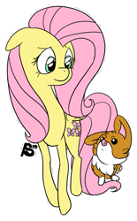 Size: 703x1136 | Tagged: safe, artist:radarlakekosh, fluttershy, dog, pegasus, pony, corgi, duo, female, floppy ears, folded wings, looking at each other, mare, outline, simple background, transparent background, white outline, wings