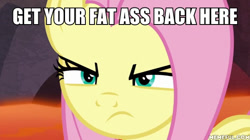 Size: 600x337 | Tagged: safe, edit, edited screencap, screencap, fluttershy, pegasus, pony, sweet and smoky, caption, family guy, herbert the pervert, image macro, solo, text, vulgar