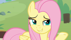 Size: 1920x1080 | Tagged: safe, screencap, angel bunny, fluttershy, pegasus, pony, she talks to angel, body swap, discovery family logo, female, mare, solo