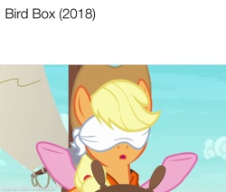 Size: 1000x848 | Tagged: safe, screencap, applejack, pinkie pie, earth pony, pony, ppov, applejack's hat, bird box, blindfold, boat, cowboy hat, hat, meme, movie meme, watermark