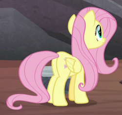 Size: 393x369 | Tagged: safe, screencap, fluttershy, pegasus, pony, sweet and smoky, butt, cropped, female, mare, plot, solo