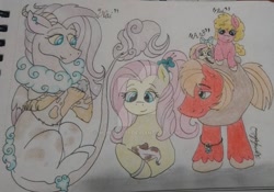 Size: 1069x748 | Tagged: safe, artist:monse2001, big macintosh, fluttershy, oc, oc:apple blossom, oc:naima, oc:red love, dog, draconequus, earth pony, hybrid, pegasus, pony, colt, deviantart watermark, draconequus oc, family, female, filly, fluttermac, freckles, hair accessory, half-siblings, interspecies offspring, male, mare, obtrusive watermark, offspring, parent:big macintosh, parent:discord, parent:fluttershy, parents:discoshy, parents:fluttermac, pet oc, puppy, shipping, signature, stallion, step-daughter, step-father, straight, traditional art, watermark, yoke