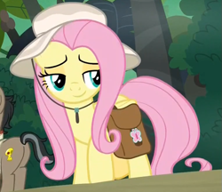 Size: 761x657 | Tagged: safe, screencap, doctor caballeron, fluttershy, earth pony, pegasus, pony, daring doubt, cropped, cute, female, hat, male, mare, saddle bag, sassy, sassyshy, shyabetes, smug, solo focus, stallion