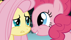 Size: 1280x720 | Tagged: safe, screencap, fluttershy, pinkie pie, pegasus, pony, dragonshy, boop, cute, duo, nose wrinkle, noseboop