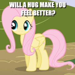 Size: 496x495 | Tagged: safe, edit, edited screencap, screencap, fluttershy, pegasus, pony, friendship is magic, bronybait, caption, cropped, cute, feel better, female, hug, image macro, question, shyabetes, solo, text