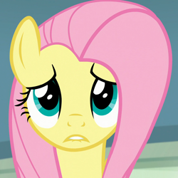 Size: 1080x1080 | Tagged: safe, screencap, fluttershy, pegasus, pony, daring doubt, cropped, cute, female, lip bite, looking at you, mare, sad, sadorable, shyabetes, solo