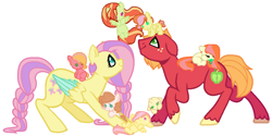 Size: 1100x550 | Tagged: safe, artist:theredbeauty, big macintosh, fluttershy, oc, oc:apple blossom, oc:apple harvest, oc:botswana "peach" cornu, oc:cool cat, oc:flutter butter, oc:honeycrisp, oc:petunia smith, earth pony, pegasus, pony, baby, baby pony, base used, blank flank, braid, braided tail, button eyes, colored wings, colored wingtips, colt, family, female, filly, fluttermac, freckles, male, mare, missing accessory, offspring, pacifier, parent:big macintosh, parent:fluttershy, parents:fluttermac, pony hat, shipping, simple background, stallion, straight, white background