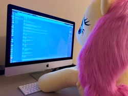 Size: 1280x960 | Tagged: safe, artist:natureshy, artist:qtpony, fluttershy, pegasus, pony, computer, cute, discord (program), faux fur, fluffy, life size, photo, plushie, shyabetes, typing