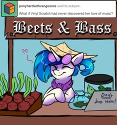 Size: 750x800 | Tagged: safe, artist:wingspiral, dj pon-3, vinyl scratch, fish, pony, ask, ask pun, beet, cute, hat, pun, silly, solo, vinylbetes, visual pun