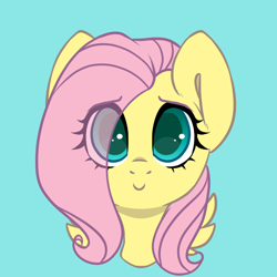 Size: 900x900 | Tagged: safe, artist:spoopygander, fluttershy, pegasus, pony, bust, cute, eye clipping through hair, full face view, looking at you, portrait, shy, shyabetes, simple background, smiling, solo, wings