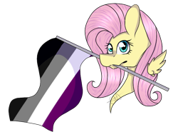 Size: 700x519 | Tagged: safe, artist:chazmazda, fluttershy, pegasus, pony, asexual, asexual pride flag, bust, commission, female, flag, mare, mouth hold, pride, pride flag, shade, simple background, transparent background, ych result, your character here