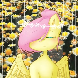 Size: 768x768 | Tagged: safe, artist:kanarithefox, fluttershy, pegasus, pony, alternate hairstyle, bust, eye clipping through hair, eyes closed, female, flower, flower in hair, full face view, hair bun, mare, portrait, solo, wings