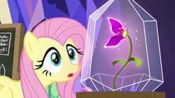 Size: 1920x1080 | Tagged: safe, screencap, fluttershy, pegasus, pony, growing up is hard to do, flower, solo, wishing flower