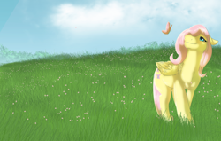 Size: 2200x1400 | Tagged: safe, artist:quelux, fluttershy, butterfly, pegasus, pony, cloud, female, grass, mare, sky, smiling, solo