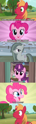 Size: 1280x4320 | Tagged: safe, edit, edited screencap, screencap, big macintosh, marble pie, pinkie pie, sugar belle, pony, a friend in deed, hard to say anything, hearthbreakers, no second prances, party of one, awkward, caption, comic, everything went better than expected, friendship, friendshipper on deck, friendshipping, pinkie logic, screencap comic, shocked, shocked expression, silence, stunned, surprised, unexpected, what a twist