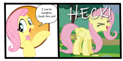 Size: 650x323 | Tagged: safe, edit, edited screencap, idw, screencap, fluttershy, pegasus, pony, sonic rainboom (episode), spoiler:comic, heck, language, painfully innocent fluttershy