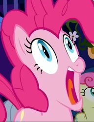 Size: 553x720 | Tagged: safe, screencap, bon bon, pinkie pie, sweetie drops, pony, friendship is magic, cropped, faic, funny, open mouth, screaming, solo focus