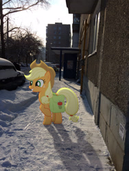 Size: 2448x3264 | Tagged: safe, artist:albertuha, applejack, earth pony, pony, backpack, female, irl, mare, photo, ponies in real life, russia, smiling, snow, solo, winter