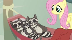 Size: 1920x1080 | Tagged: safe, screencap, fluttershy, smoky, smoky jr., softpad, pegasus, pony, raccoon, the big mac question, caretaker, claws, cute, eyes closed, family, father and child, father and son, female, folded wings, hammock, male, mare, mother and child, mother and son, parent and child, pleased, sleeping, smiling, son, wings