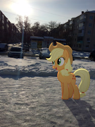 Size: 2448x3264 | Tagged: safe, artist:albertuha, applejack, earth pony, pony, female, irl, mare, photo, ponies in real life, russia, smiling, snow, solo, winter