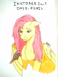 Size: 1560x2080 | Tagged: safe, artist:0-van-0, fluttershy, bird, pegasus, pony, bust, floppy ears, inktober, inktober 2019, simple background, sitting on wing, smiling, traditional art, white background, wing hands, wings