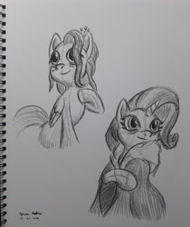 Size: 3096x3684 | Tagged: safe, artist:rockhoppr3, fluttershy, rarity, pegasus, pony, unicorn, the last problem, high res, monochrome, older, traditional art