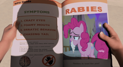 Size: 800x436 | Tagged: safe, derpibooru import, edit, edited screencap, screencap, pinkie pie, pony, channel, discovery family, discovery family logo, dreamworks, episode needed, my little pony, newspaper, obligatory pony, over the hedge, rabies, screen, shadow