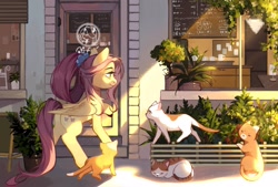 Size: 2039x1378 | Tagged: safe, alternate version, artist:xieyanbbb, fluttershy, cat, pegasus, pony, the last problem, cafe, coffee shop, crepuscular rays, cute, dawwww, female, fixed, looking at something, mare, older, older fluttershy, outdoors, plant, scenery, shyabetes, smiling