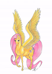 Size: 2452x3465 | Tagged: safe, artist:teabee-art, fluttershy, pegasus, pony, female, hoers, mare, raised hoof, simple background, solo, spread wings, three quarter view, traditional art, white background, wings