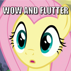 Size: 697x699 | Tagged: safe, edit, edited screencap, screencap, fluttershy, pegasus, pony, fake it 'til you make it, caption, cropped, image macro, pun, solo, text, visual pun, wow