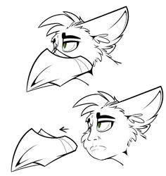 Size: 667x706 | Tagged: safe, artist:ralek, edit, oc, oc only, oc:ralek, griffon, 2 panel comic, cheek fluff, comic, cursed image, ear fluff, eared griffon, floppy ears, fluffy, frown, human face, lidded eyes, lineart, male, mask, meme, partial color, ponified animal photo, simple background, sketch, slit eyes, solo, wat, white background