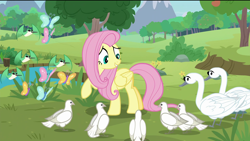 Size: 1920x1080 | Tagged: safe, screencap, eloise, fluttershy, josephine, bird, butterfly, dove, hummingbird, pegasus, pony, swan, the last problem, animal, cute, female, grass, grin, happy, hubert (swan), mare, outdoors, pond, raised hoof, river, shyabetes, smiling, tree, wide eyes