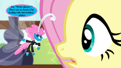 Size: 800x450 | Tagged: safe, edit, edited screencap, screencap, fluttershy, seabreeze, breezie, pegasus, pony, g3, it ain't easy being breezies, the princess promenade, fluttershy's cottage, g3 to g4, generation leap, speech, speech bubble