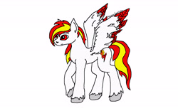 Size: 6400x4000 | Tagged: safe, anonymous artist, oc, oc only, oc:fiery lightning, pony, colored wings, colored wingtips, simple background, solo, unshorn fetlocks, white background