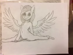 Size: 1024x768 | Tagged: safe, artist:miokomata, fluttershy, pegasus, pony, semi-anthro, female, freckles, mare, monochrome, sketch, splits, traditional art