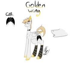 Size: 1024x1024 | Tagged: safe, artist:anhusaka, oc, oc only, oc:golden wing, pegasus, pony, adoptable, choker, clothes, female, mare, simple background, socks, solo, striped socks, white background