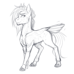 Size: 859x865 | Tagged: safe, artist:askbubblelee, oc, oc only, oc:singe, pony, body freckles, facial hair, freckles, goatee, male, missing wing, monochrome, realistic anatomy, realistic horse legs, simple background, sketch, smiling, solo, stallion, tail feathers, white background