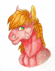 Size: 1024x1314 | Tagged: safe, artist:biakela, big macintosh, pony, bust, colored ears, freckles, male, muscles, scar, simple background, solo, stallion, traditional art, watercolor painting, white background