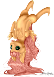 Size: 671x951 | Tagged: safe, artist:ohflaming-rainbow, oc, oc:sunshine apple shy, pegasus, pony, colt, male, offspring, parent:big macintosh, parent:fluttershy, parents:fluttermac, simple background, solo, tongue out, upside down, white background