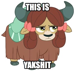 Size: 540x511 | Tagged: safe, yona, yak, cloven hooves, female, image macro, meme, simple background, vulgar, white background, yakshit