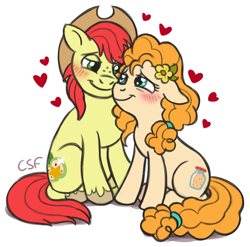 Size: 790x779 | Tagged: safe, artist:cartoonsilverfox, bright mac, pear butter, earth pony, pony, the perfect pear, blushing, brightbutter, couple, cute, eye contact, female, flower, flower in hair, heart, looking at each other, male, mare, pearabetes, shipping, simple background, sitting, smiling, stallion, straight, unshorn fetlocks, white background
