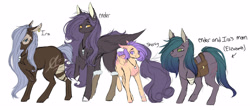 Size: 4882x2153 | Tagged: safe, artist:crazllana, oc, oc:elizabeth, oc:ender heart, oc:ira, oc:shorty, earth pony, pegasus, pony, amputee, female, mare, scar, simple background, white background