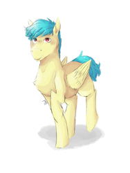 Size: 1536x2048 | Tagged: safe, artist:mad-maker-cat, oc, pegasus, pony, male, simple background, solo, stallion, white background