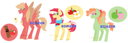 Size: 1024x345 | Tagged: safe, artist:justcallmescaizor, oc, oc only, oc:apple sunflower, oc:applewood jr., oc:golden harvest, earth pony, pegasus, pony, colored wings, colored wingtips, female, freckles, jewelry, male, mare, neckerchief, necklace, offspring, parent:big macintosh, parent:fluttershy, parents:fluttermac, simple background, stallion, unshorn fetlocks, watermark, white background