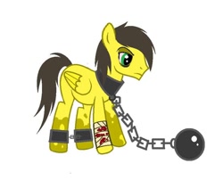 Size: 882x714 | Tagged: safe, artist:thunder burst, oc, oc:thunder burst, oc:thunder hooves, pegasus, pony, blood, chains, injured, male, sad, shackles, simple background, slave, slave collar, slavery, solo, white background